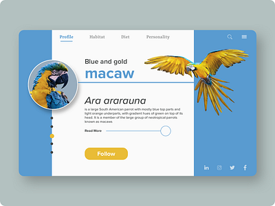 DailyUI #006 - Profile