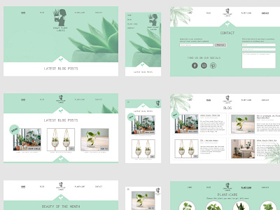 Crazy Plant Ladies UI Design css design frontend design logo typography ui webdesign