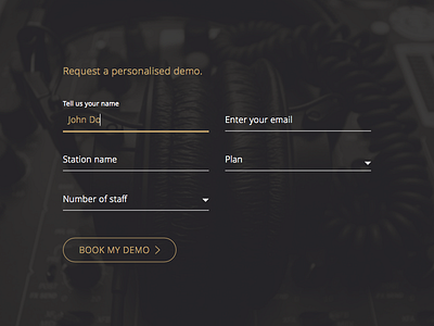 Floating Labels - Request a Demo form gold input interaction interface luxury radio ux