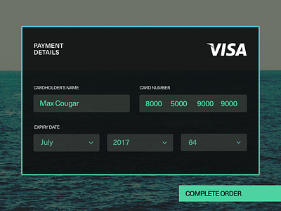 Day004 Credit Card Payment 100days card dailyui ecommerce order payment sell ui widget