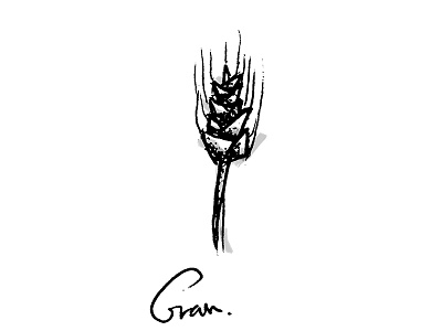 Grain illustration