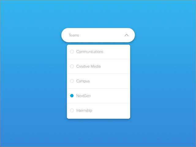 Drop-down by Ryan Tauss on Dribbble