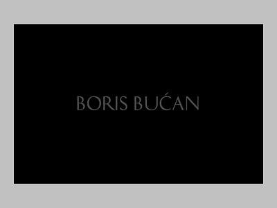 Boris Bucan — Motion Direction animation art cart clean design interaction minimal mininal simple transitions typography ui webdesign whitespace