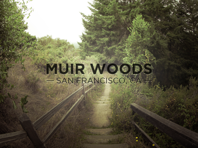 Muir Woods california earth favorite francisco muir place postcard san woods