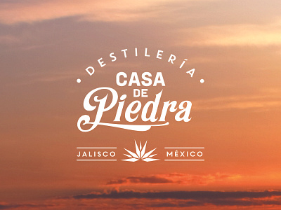 Logo Proposal design graphicdesign layout tequila type typography