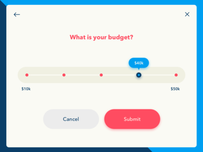 009 - Budget Widget