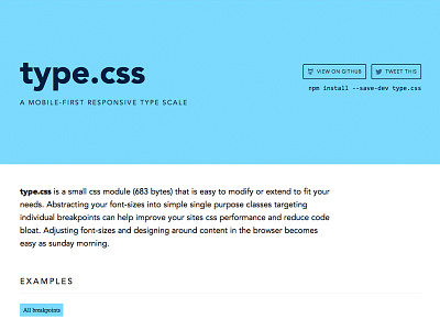 type.css