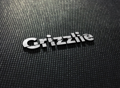 Grizzlie branding illustration logo logo design typography vector