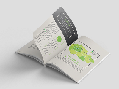 Expat Guide booklet books czech czech republic czechia ebooks flat design flat illustration green guide illustrator layout manual map prague vector