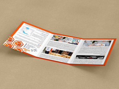 Brochure Design branding design graphic design illustration vector