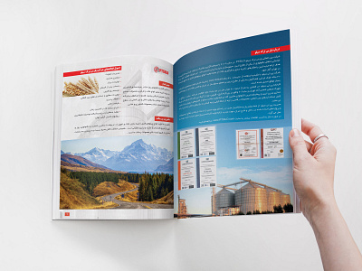 Catalog design