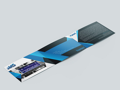 Trifold Brochure branding brochure design graphic design illustration print design vector