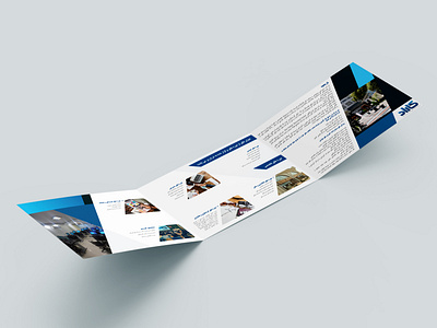 Trifold brochure branding brochure design graphic design illustration print design vector
