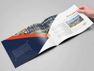 Catalog design branding brochure cataloge design graphic design illustration print design vector