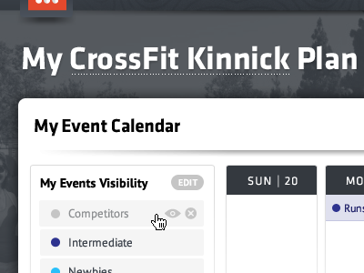 My CrossKit Plan calendar manboobs workout