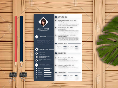 I have designed these Resume or CV design illustration logo vector web