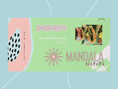 Papaya Brand Identity brand identity branding design illustration vector