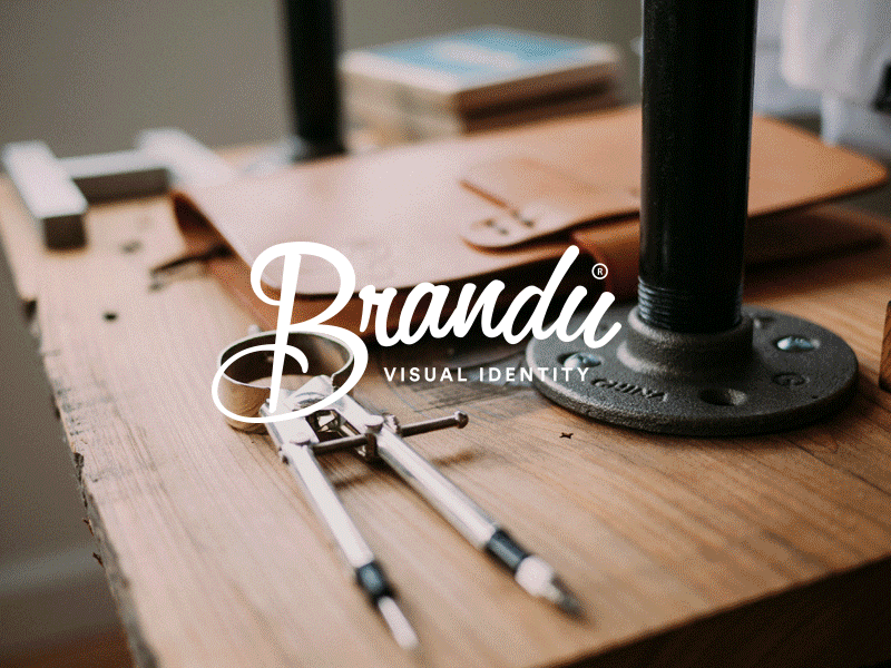 Brandu Visual Identity brand branding brandu identity illustrator logo visual identity