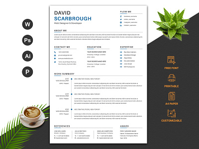 Professional CV/ Resume Template