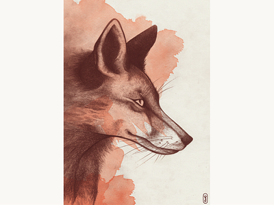 Canine portraits artwork fauna fox illustration mixed media traditional art wolf