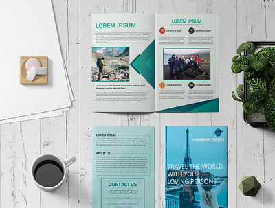 Bi Fold Travel Brochure blue brochure design cool colors corporate design designer graphicdesign travel