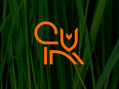 CV Fox animal branding design fox icon identity illustration initial initial logo lettering lineart logo logo for sale logotype mark monogram red vector