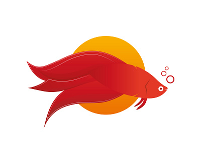 Betta Fish Logo betta fish colorful design design logo illustration logo modern simple logo vector