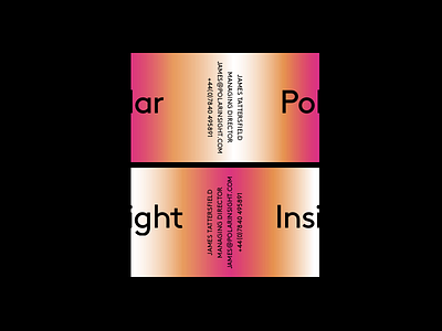 Polar Insight graphic design identity polar insight