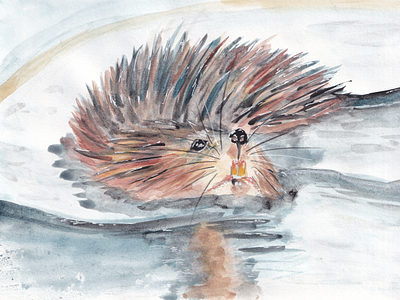 Muskrat childrens illustration illustration muskrat painting watercolor watercolorpainting