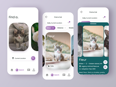 Pet Adoption App Design