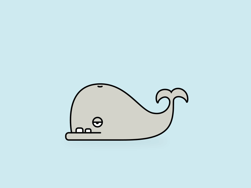 Mr. Whale animation illustration splash whale
