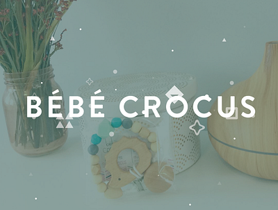 Branding Bébé Crocus blue branding design graphic green logo quebec redesign