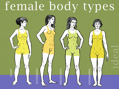 Women Bodytypes Klinarts based body book illustration fitness health hormon types