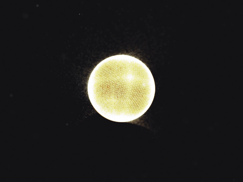 Planet experiment in Stardust in AFX 3d animation data dataviz design gif loop particles planet stardust sun ui