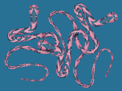 snakes illustration