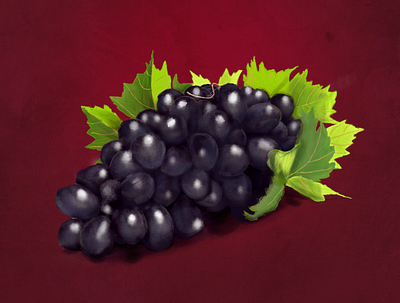 Grape graphic design