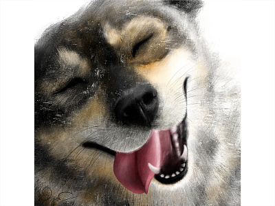 Doggy series_1 digitalart dog dog art dog illustration dog lover doggie doggo doggy dogs oil painting painting paintings