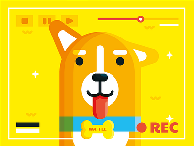 Waffle The Corgi corgi dog flat fun happy indonesia jakarta recording vector waffle yellow