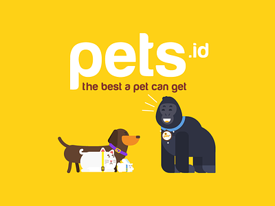 Pet.id cat dog gorrilla illustration illustrator pet pets.id qr code rabbit yellow