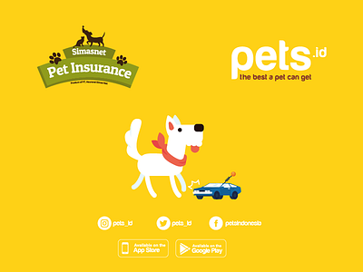 Pet Insurance illustration insurance motion pet vector