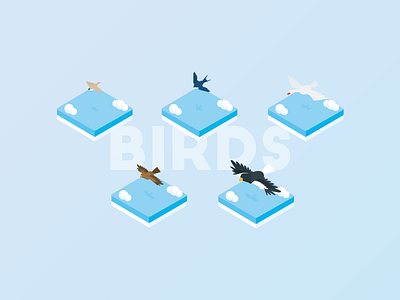 Isometric Illustration - Birds bird fly icon illustration isometric