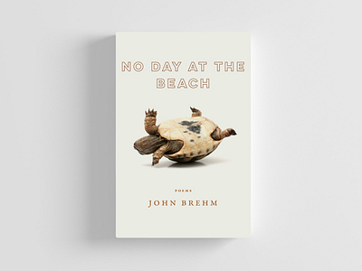 No Day at the Beach book cover