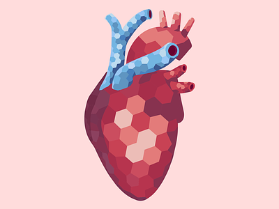 Heart geometric art heart human body illustraion illustration illustrator picture