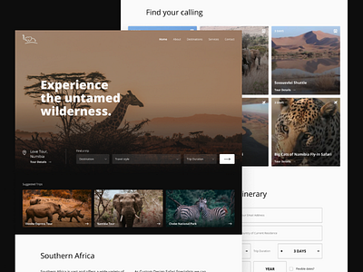 Safari booking website - Web Design agency app booking clean design designer minimal modern safari travel traveling ui uiux ux web webapp website