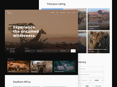 Safari booking website - Web Design