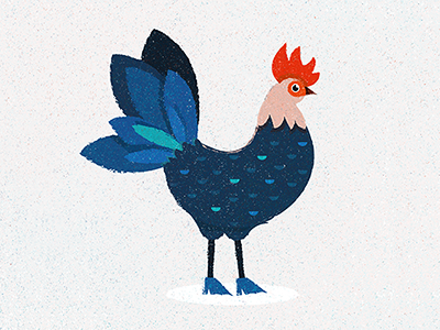 Rooster animal chicken illustration rooster