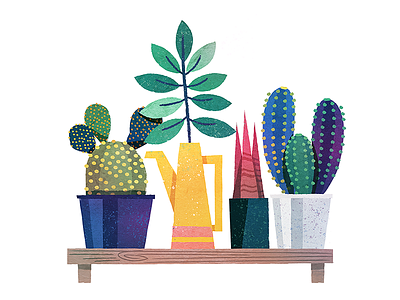 Plant Shelf cactus plant pots shelf
