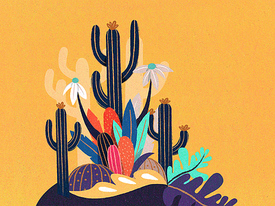 Plants cactus illustration leaf plants