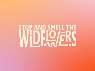 Stop And Smell the Wildflowers design drawing flowers gradient illustration typography wildflowers