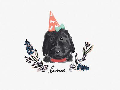 Luna birthday birthday dog digital illustration digitalart dog dog illustration party hat tayasui sketches